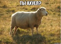 ты ахуел? 