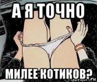 а я точно милее котиков?