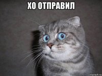 хо отправил 