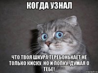 когда узнал что твоя шкура теребонькает не только киску, но и попку, думая о тебе!