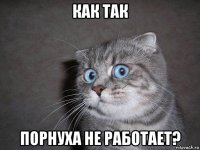 как так порнуха не работает?