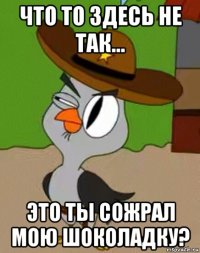 что то здесь не так... это ты сожрал мою шоколадку?