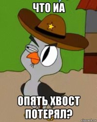 что иа опять хвост потерял?