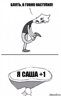 Я Саша +1