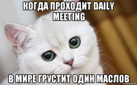 когда проходит daily meeting в мире грустит один маслов