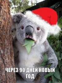 через 90 дней новый год