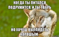 когда ты питался подружится, и ты тварь но хочеш выглядеть хорошым.