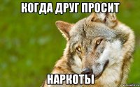 когда друг просит наркоты