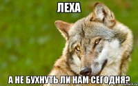 леха а не бухнуть ли нам сегодня?