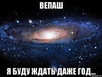 вепаш я буду ждать даже год...