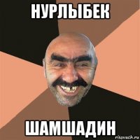 нурлыбек шамшадин