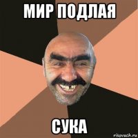 мир подлая сука