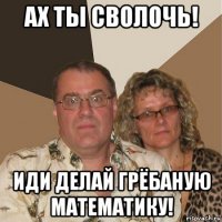 ах ты cволочь! иди делай грёбаную математику!