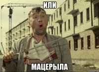 или мацерыла