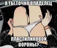 а ты точно владелец пластилиновой вороны?