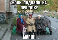 жопы подняли! на прогулку марш!