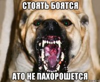 стоять боятся ато не пахорошется