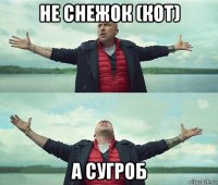 не снежок (кот) а сугроб