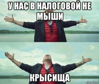 у нас в налоговой не мыши крысища