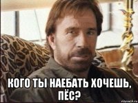  кого ты наебать хочешь, пёс?