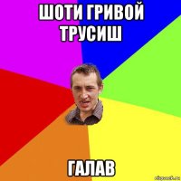 шоти гривой трусиш галав