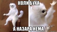 коли буха а назара нема