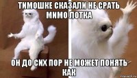 тимошке сказали не срать мимо лотка он до сих пор не может понять как