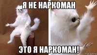 я не наркоман это я наркоман!