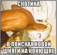 скотина в поисках новой шняги на конюшне