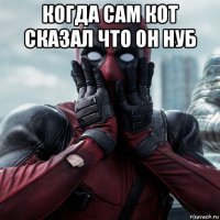 когда сам кот сказал что он нуб 