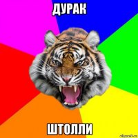 дурак штолли