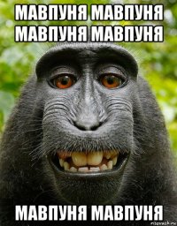 мавпуня мавпуня мавпуня мавпуня мавпуня мавпуня