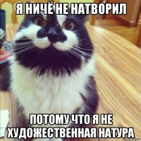 я ничё не натворил потому что я не художественная натура