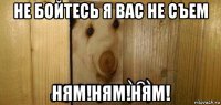 не бойтесь я вас не съем ням!ням!ням!