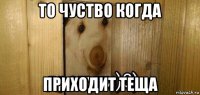 то чуство когда приходит теща