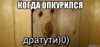 когда опкурился 