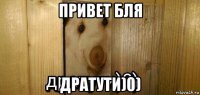 привет бля дратути)0)