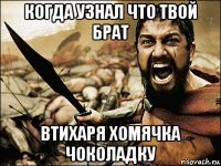 когда узнал что твой брат втихаря хомячка чоколадку