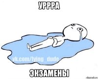 уррра экзамены