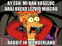 ay esh. mi ban xoseluc araj uxexd lezvid miacru rabbit in wonderland