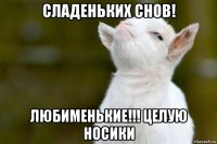 сладеньких снов! любименькие!!! целую носики