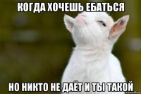 когда хочешь ебаться но никто не даёт и ты такой