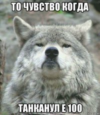 то чувство когда танканул е 100