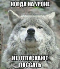 когда на уроке не отпускают поссать