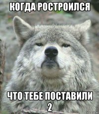 когда ростроился что тебе поставили 2