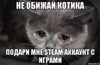 не обижай котика подари мне steam аккаунт с играми