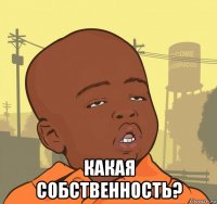  какая собственность?