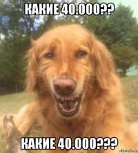 какие 40.000?? какие 40.000???