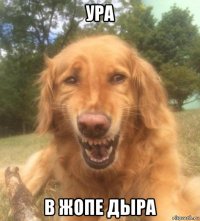 ура в жопе дыра