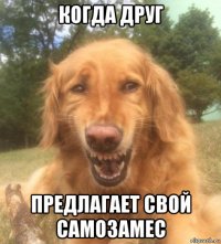 когда друг предлагает свой самозамес